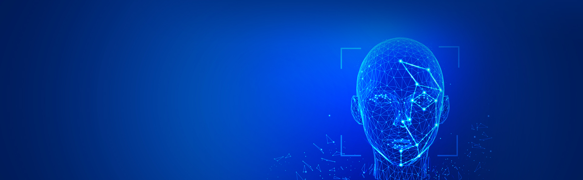 Giải pháp công nghệ  sinh trắc AI